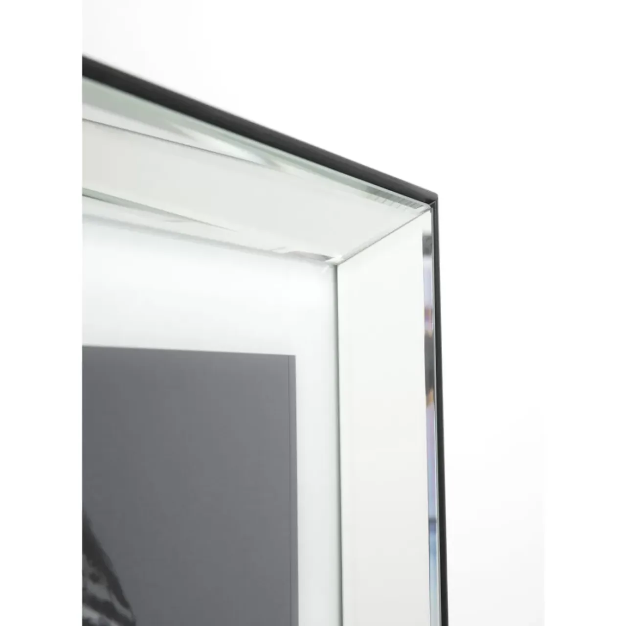 Bilder-KARE Design Bild Frame Mirror King Dog 60X60