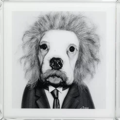 Bilder-KARE Design Bild Frame Mirror Smart Dog 60X60