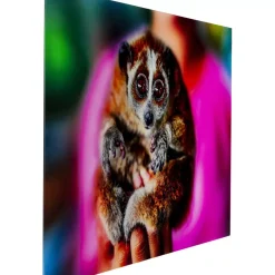 Bilder-KARE Design Bild Glas Slow Loris 80X120