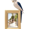 Deko & Geschenkartikel-KARE Design Bilderrahmen Origami Parrot 10X15Cm