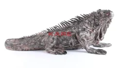 Deko & Geschenkartikel-KARE Design Deko Objekt Iguana 135Cm