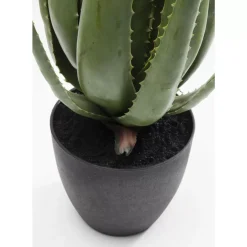 Deko & Geschenkartikel-KARE Design Deko Pflanze Aloe 69Cm