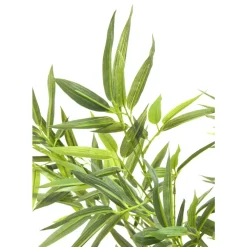Deko & Geschenkartikel-KARE Design Deko Pflanze Bamboo Tree 200Cm