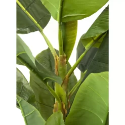 Deko & Geschenkartikel-KARE Design Deko Pflanze Banana Tree 180Cm