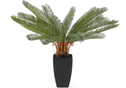 Deko & Geschenkartikel-KARE Design Deko Pflanze Cycas Tree 78Cm