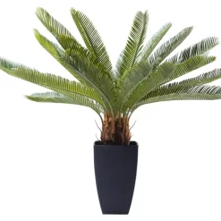 Deko & Geschenkartikel-KARE Design Deko Pflanze Cycas Tree 78Cm