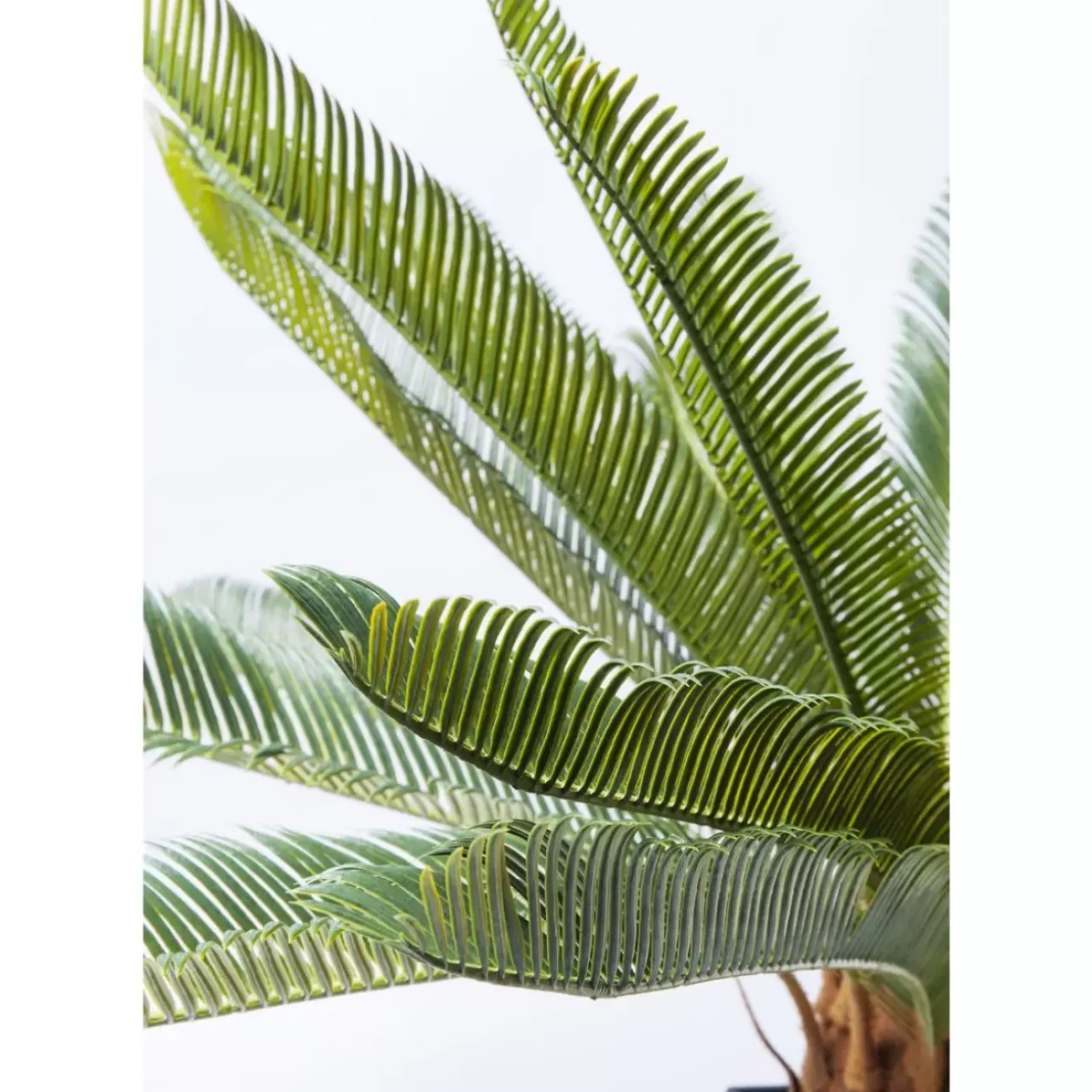 Deko & Geschenkartikel-KARE Design Deko Pflanze Cycas Tree 78Cm