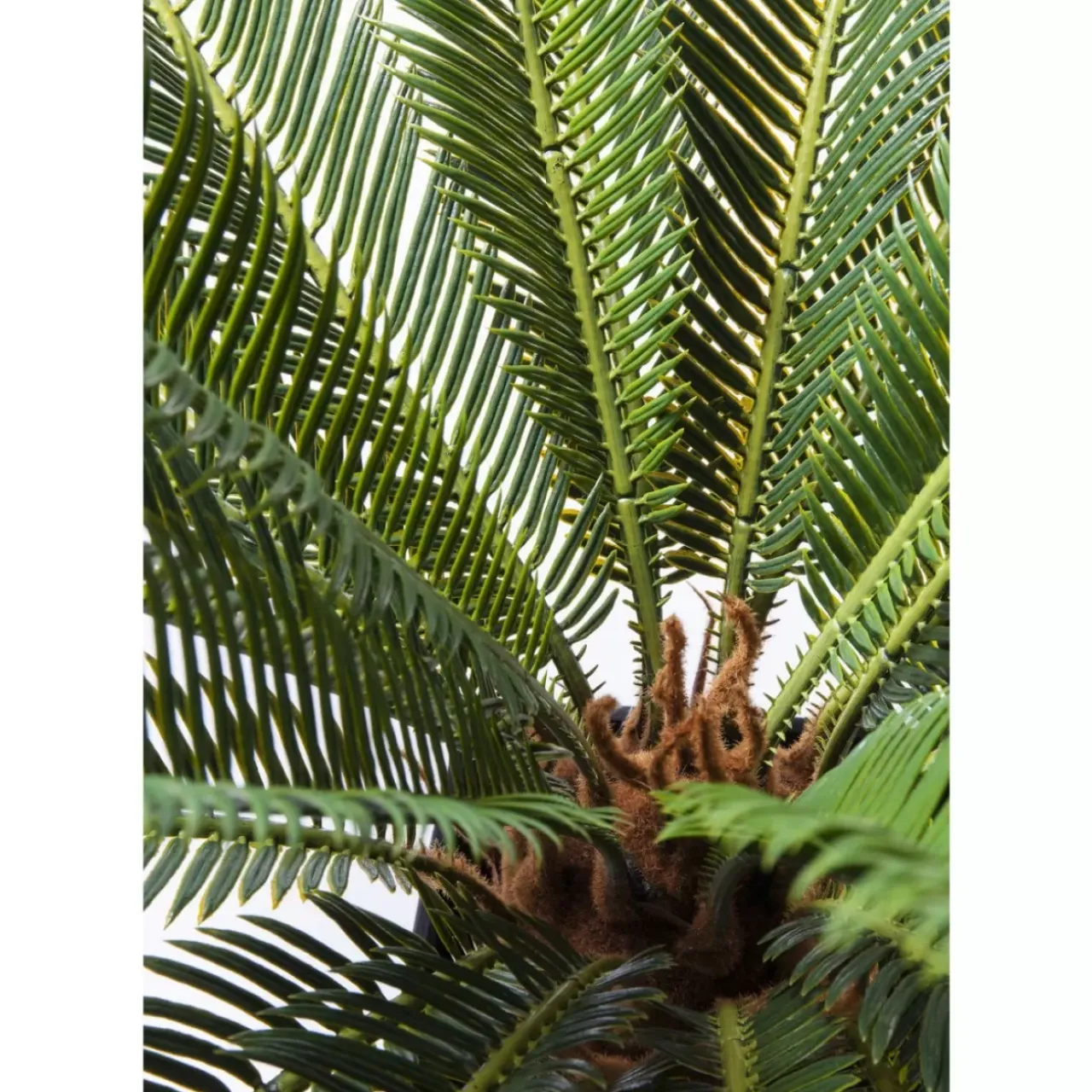 Deko & Geschenkartikel-KARE Design Deko Pflanze Cycas Tree 78Cm