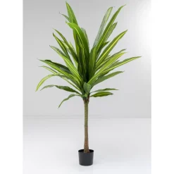 Deko & Geschenkartikel-KARE Design Deko Pflanze Dracaena Fragrans 180Cm