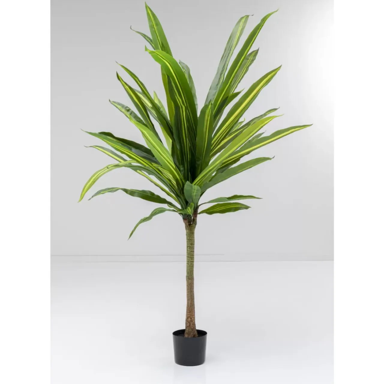 Deko & Geschenkartikel-KARE Design Deko Pflanze Dracaena Fragrans 180Cm