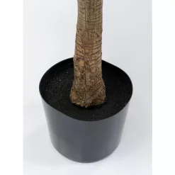 Deko & Geschenkartikel-KARE Design Deko Pflanze Dracaena Fragrans 180Cm