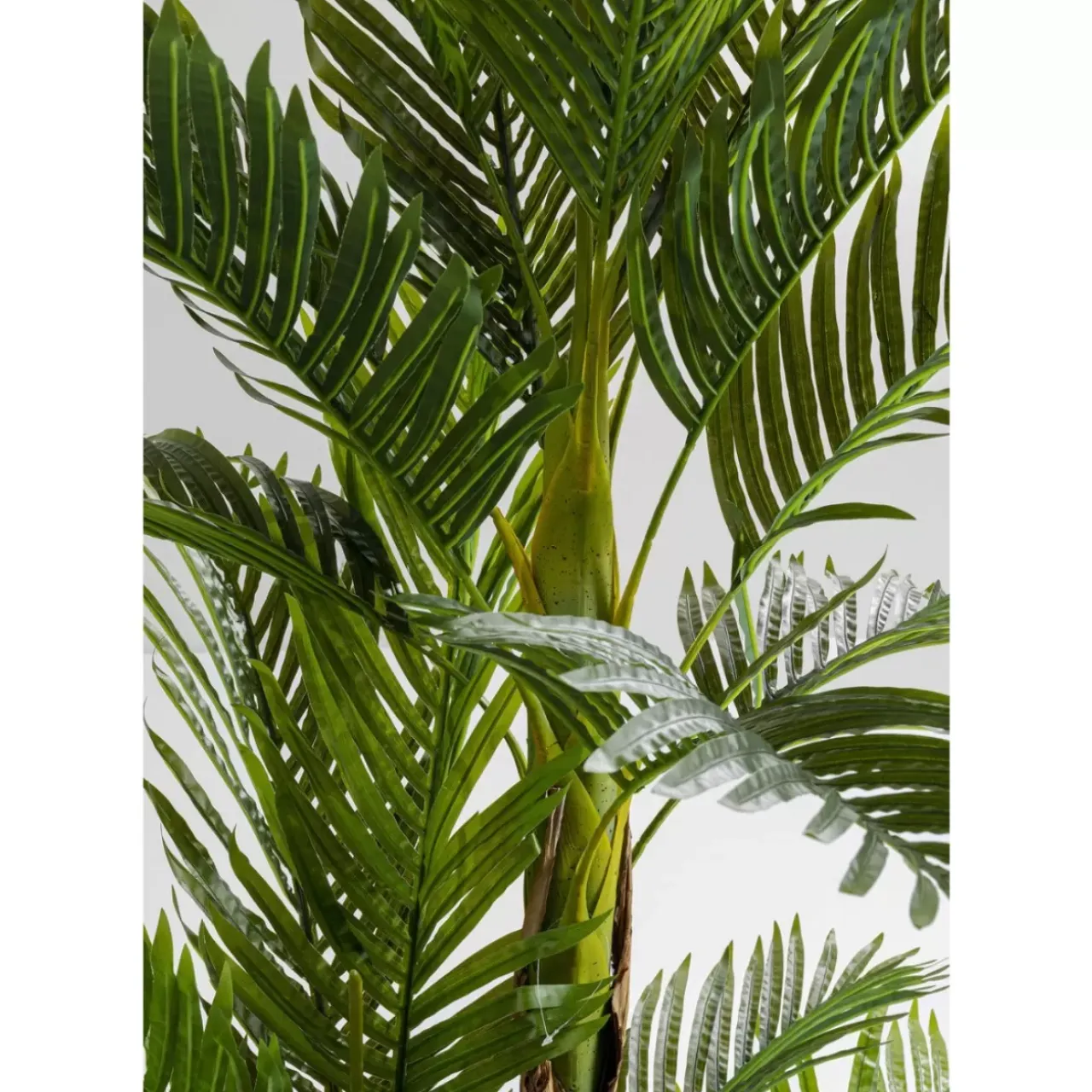 Deko & Geschenkartikel-KARE Design Deko Pflanze Palm Tree 190