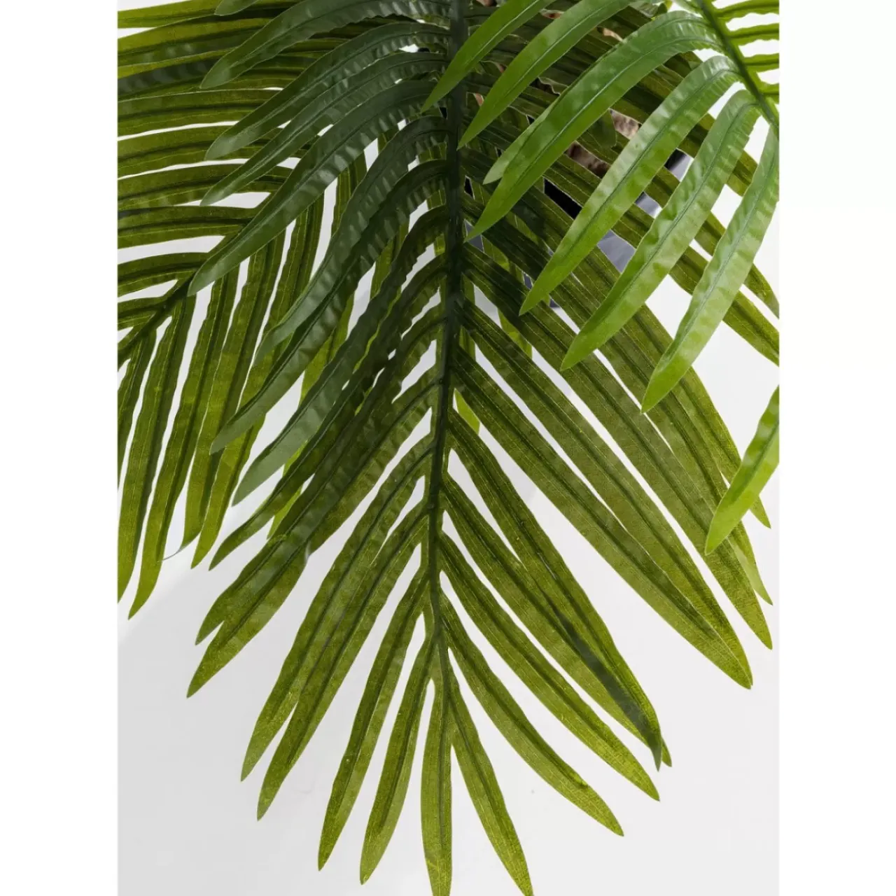 Deko & Geschenkartikel-KARE Design Deko Pflanze Palm Tree 190