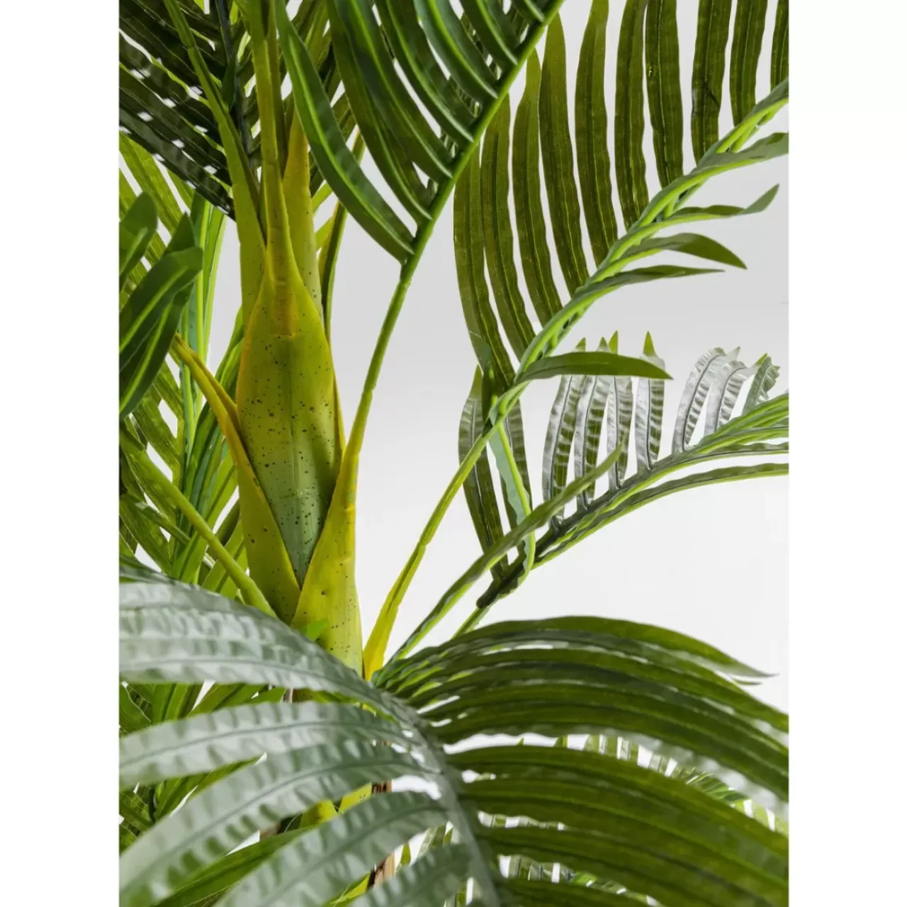 Deko & Geschenkartikel-KARE Design Deko Pflanze Palm Tree 190
