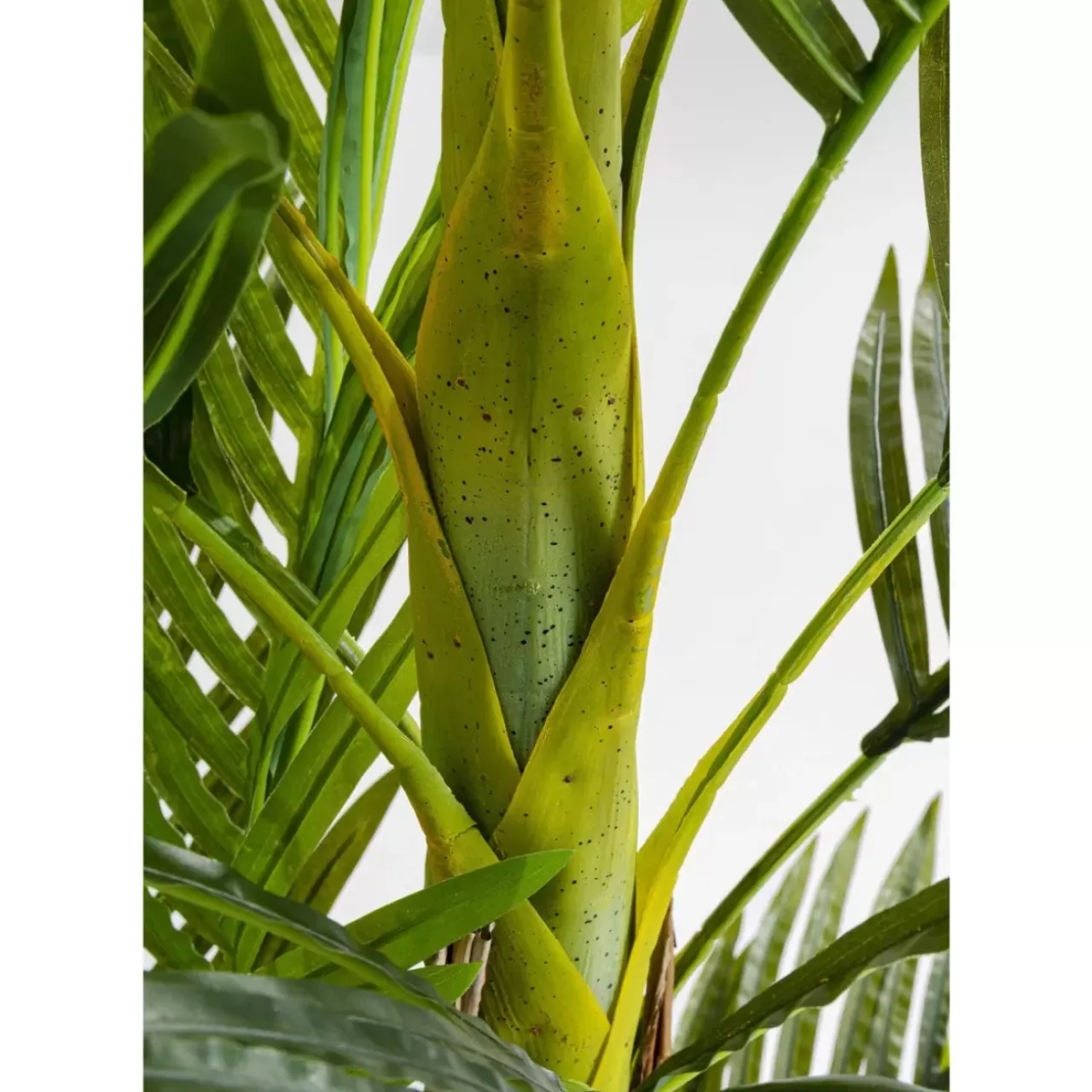 Deko & Geschenkartikel-KARE Design Deko Pflanze Palm Tree 190
