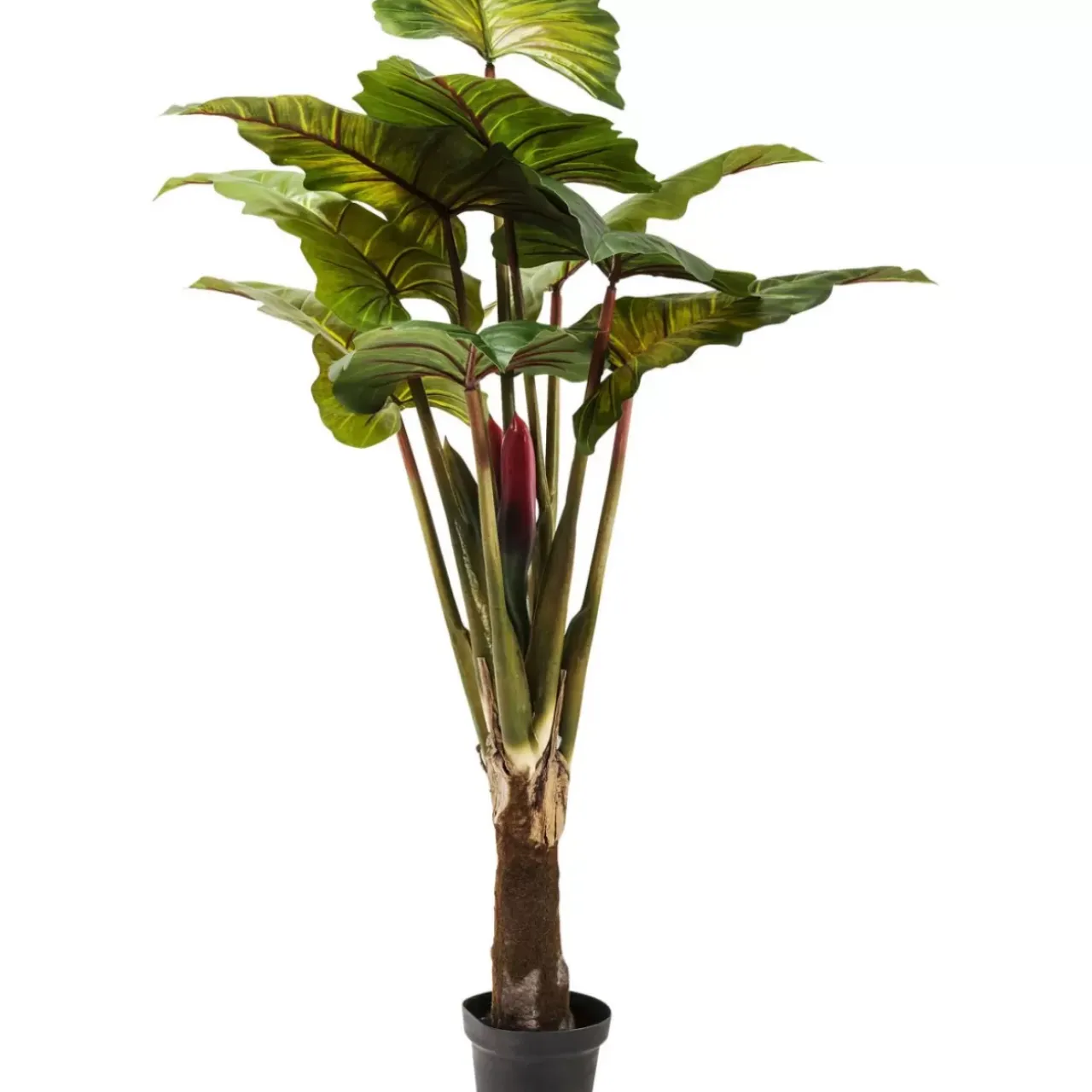 Deko & Geschenkartikel-KARE Design Deko Pflanze Rainforest Green 160Cm