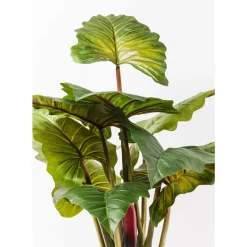 Deko & Geschenkartikel-KARE Design Deko Pflanze Rainforest Green 160Cm