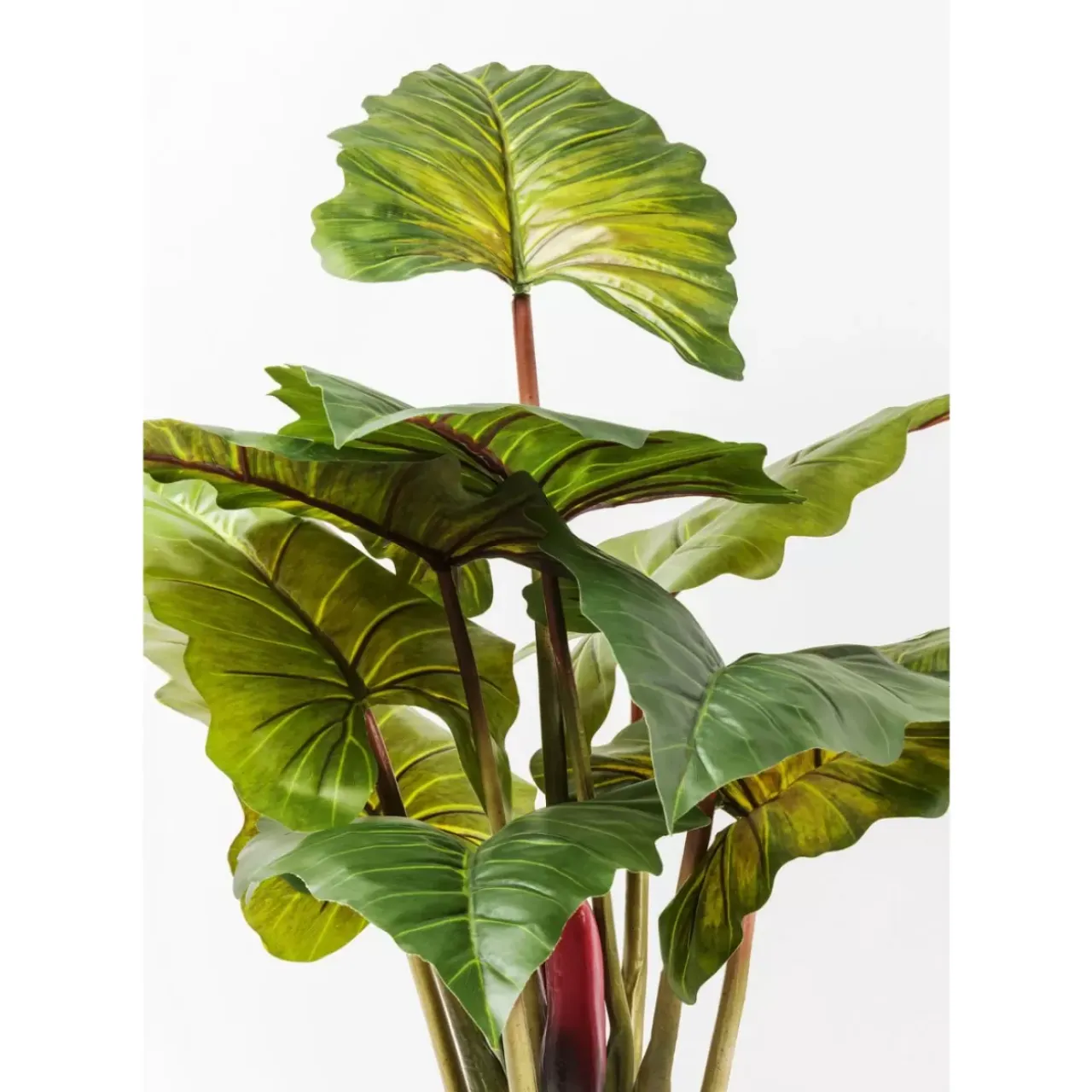 Deko & Geschenkartikel-KARE Design Deko Pflanze Rainforest Green 160Cm