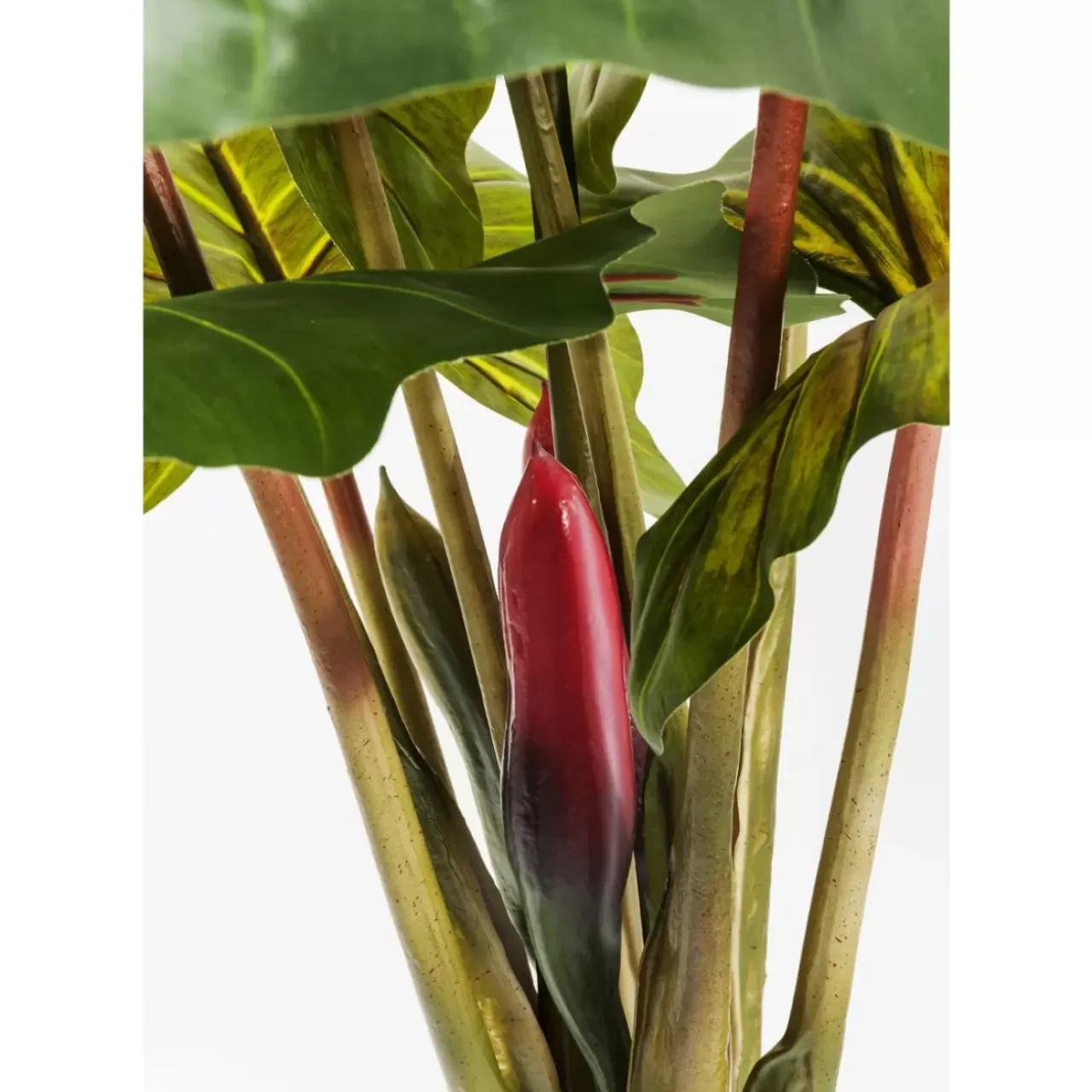 Deko & Geschenkartikel-KARE Design Deko Pflanze Rainforest Green 160Cm