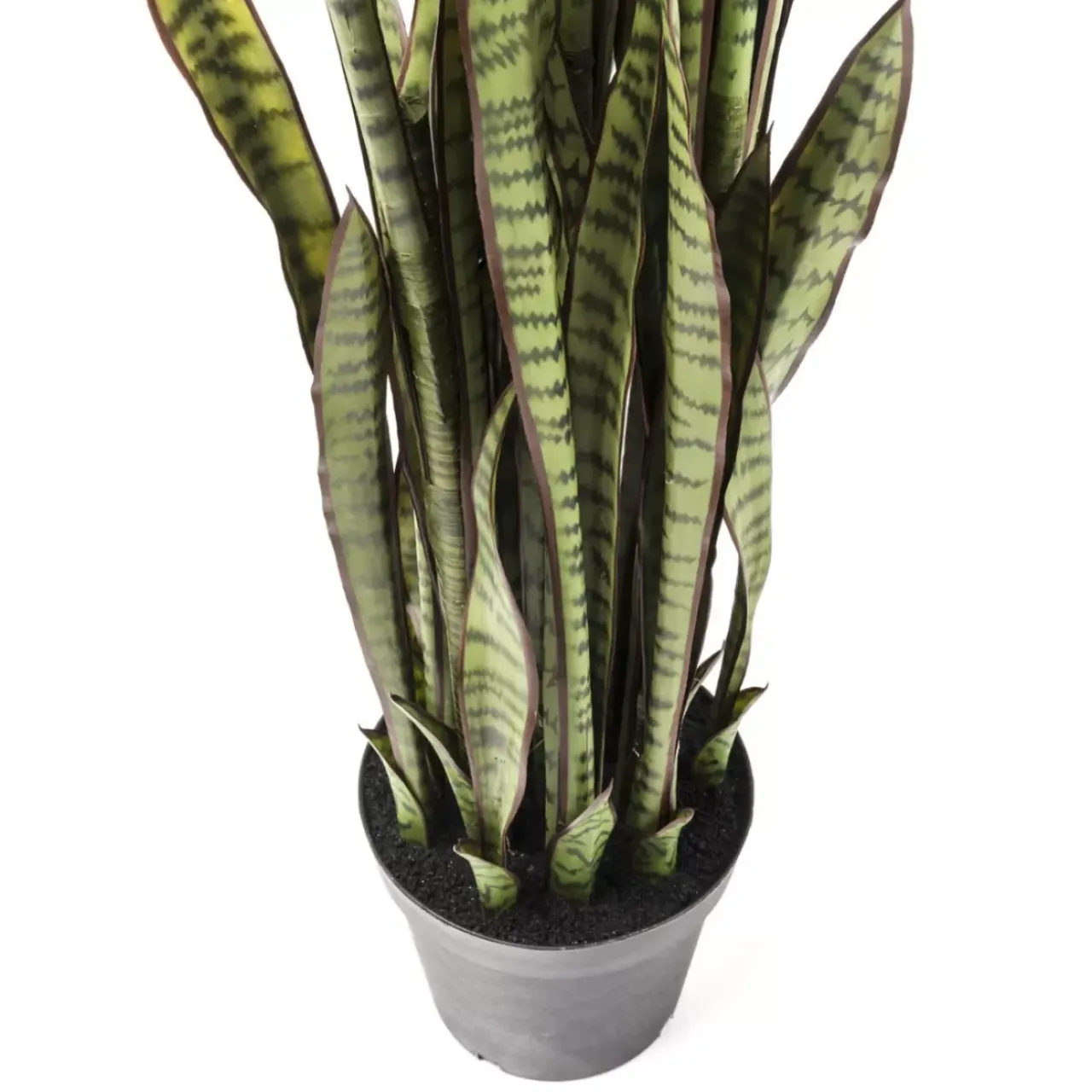 Deko & Geschenkartikel-KARE Design Deko Pflanze Sansewieria 155Cm
