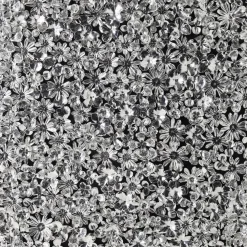 Bilder-KARE Design Deko Rahmen Silver Flower 100X100Cm