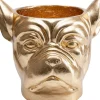 Aufbewahrung & Ordnung-KARE Design Deko Ubertopf Bulldog Gold