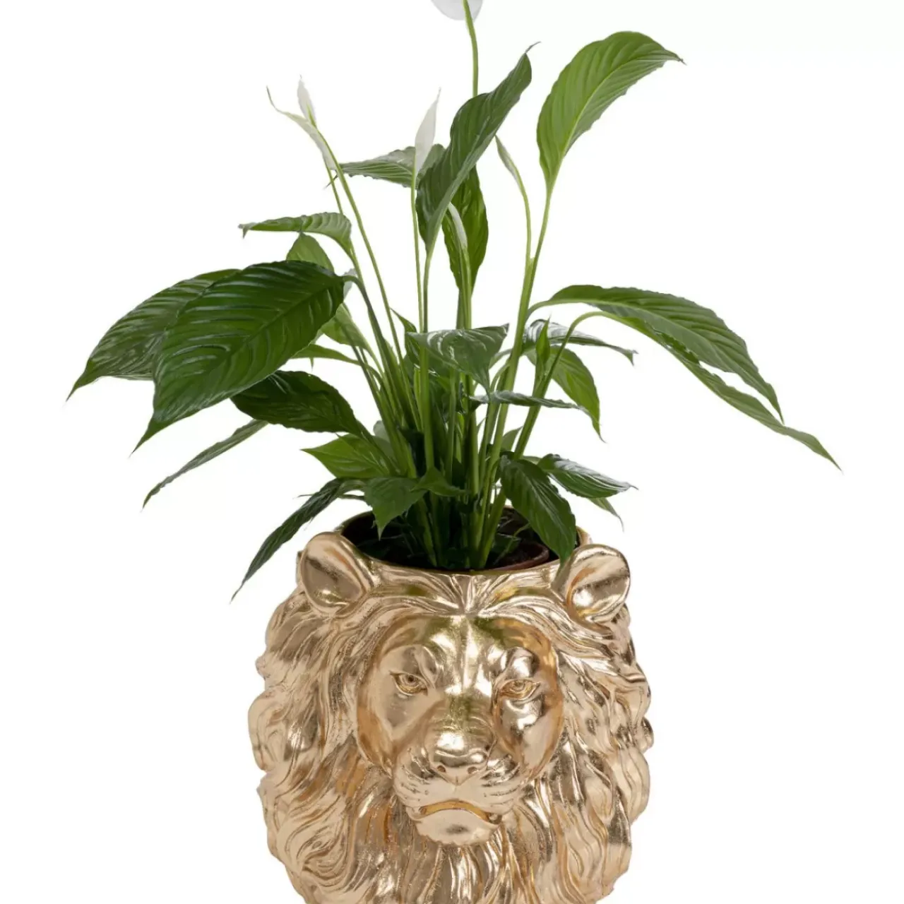 Aufbewahrung & Ordnung-KARE Design Deko Ubertopf Lion Gold