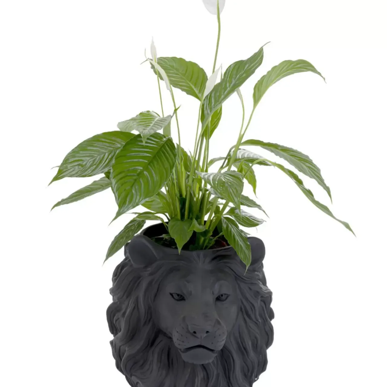 Aufbewahrung & Ordnung-KARE Design Deko Ubertopf Lion Schwarz