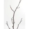 Kleinmöbel & Sonstiges-KARE Design Garderobenstander Tree Branch 183Cm