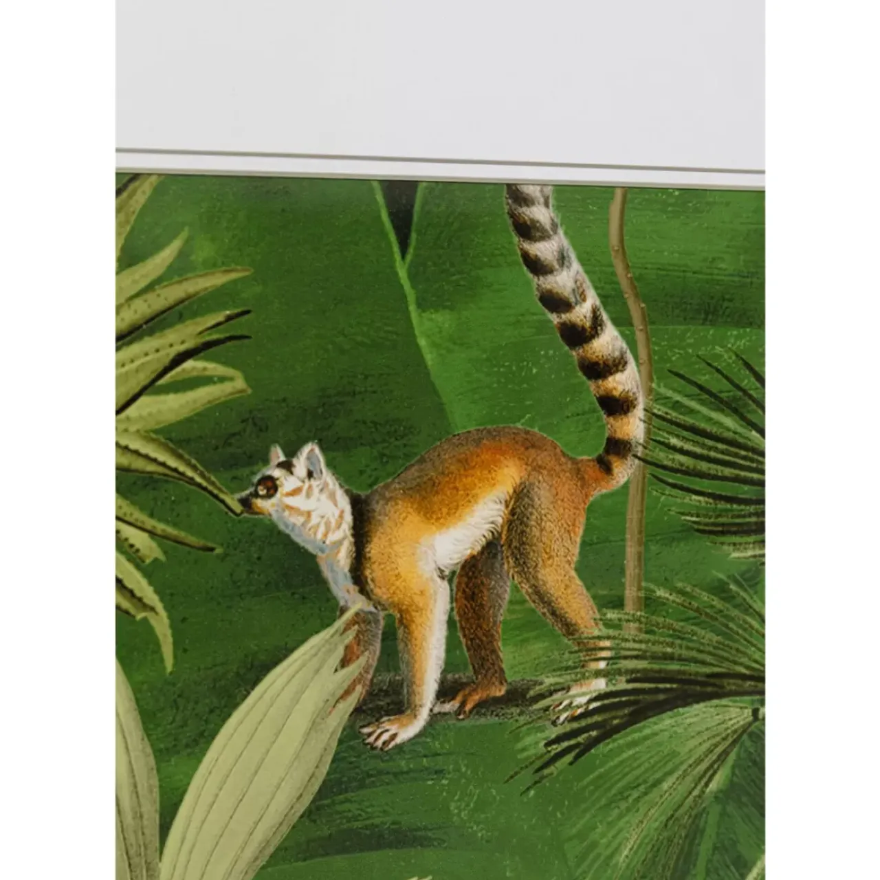 Bilder-KARE Design Gerahmtes Bild Animals In Jungle 80X100Cm