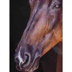 Bilder-KARE Design Gerahmtes Bild Wendy 75X105Cm