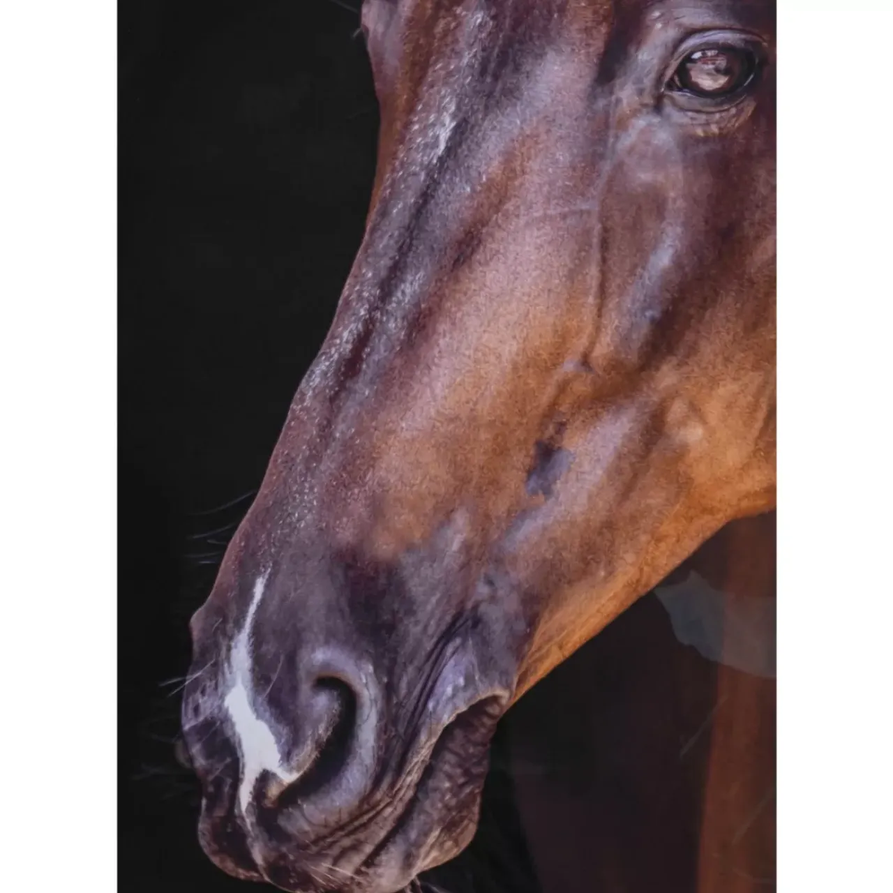 Bilder-KARE Design Gerahmtes Bild Wendy 75X105Cm