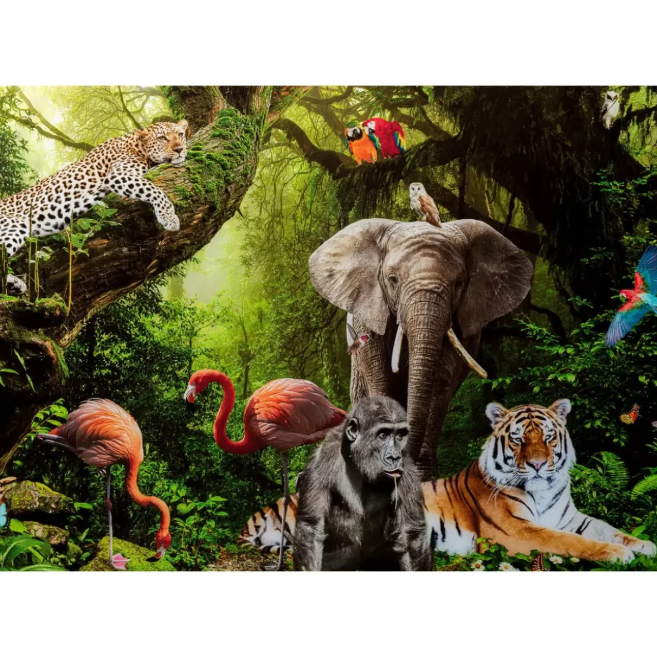 Bilder-KARE Design Glasbild Animal Paradise 150X100Cm