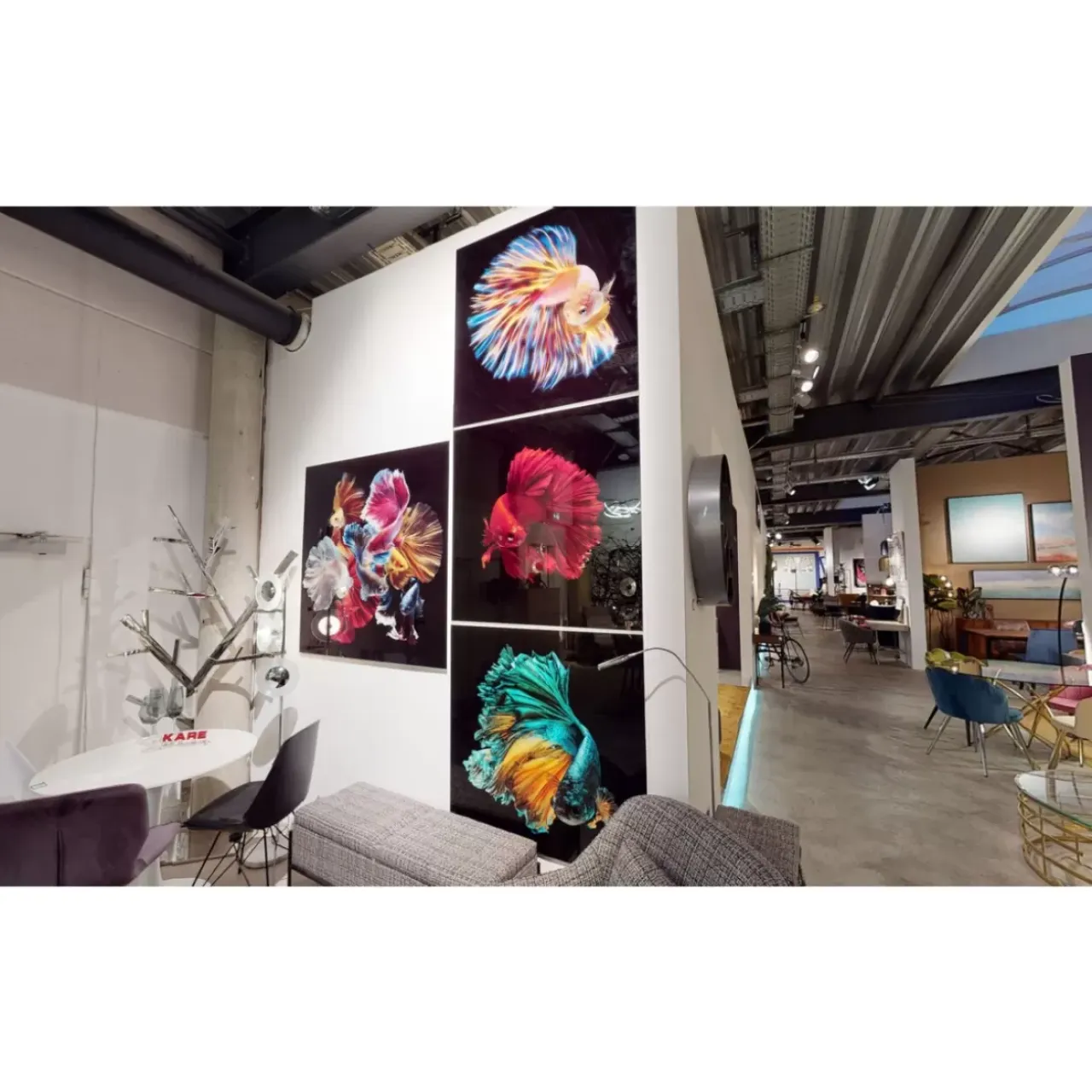 Bilder-KARE Design Glasbild Colorful Swarm Fish 120X120Cm
