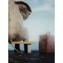 Bilder-KARE Design Glasbild Elephant Journey 60X40Cm