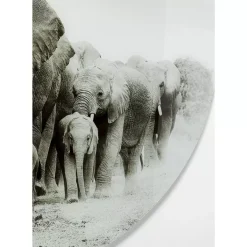 Bilder-KARE Design Glasbild Elephant Walk O120Cm