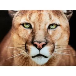 Bilder-KARE Design Glasbild Lioness 150X100Cm