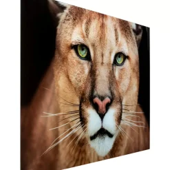 Bilder-KARE Design Glasbild Lioness 150X100Cm