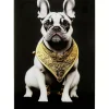 Bilder-KARE Design Glasbild Noble Dog 40X60Cm