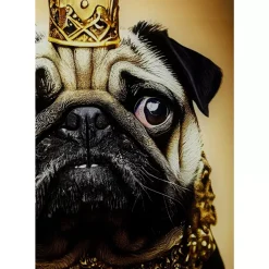Bilder-KARE Design Glasbild Prince Pug 40X60Cm