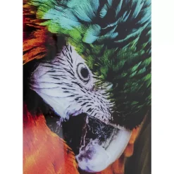 Bilder-KARE Design Glasbild Tropical Parrot 120X80Cm
