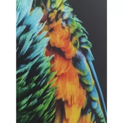 Bilder-KARE Design Glasbild Tropical Parrot 120X80Cm