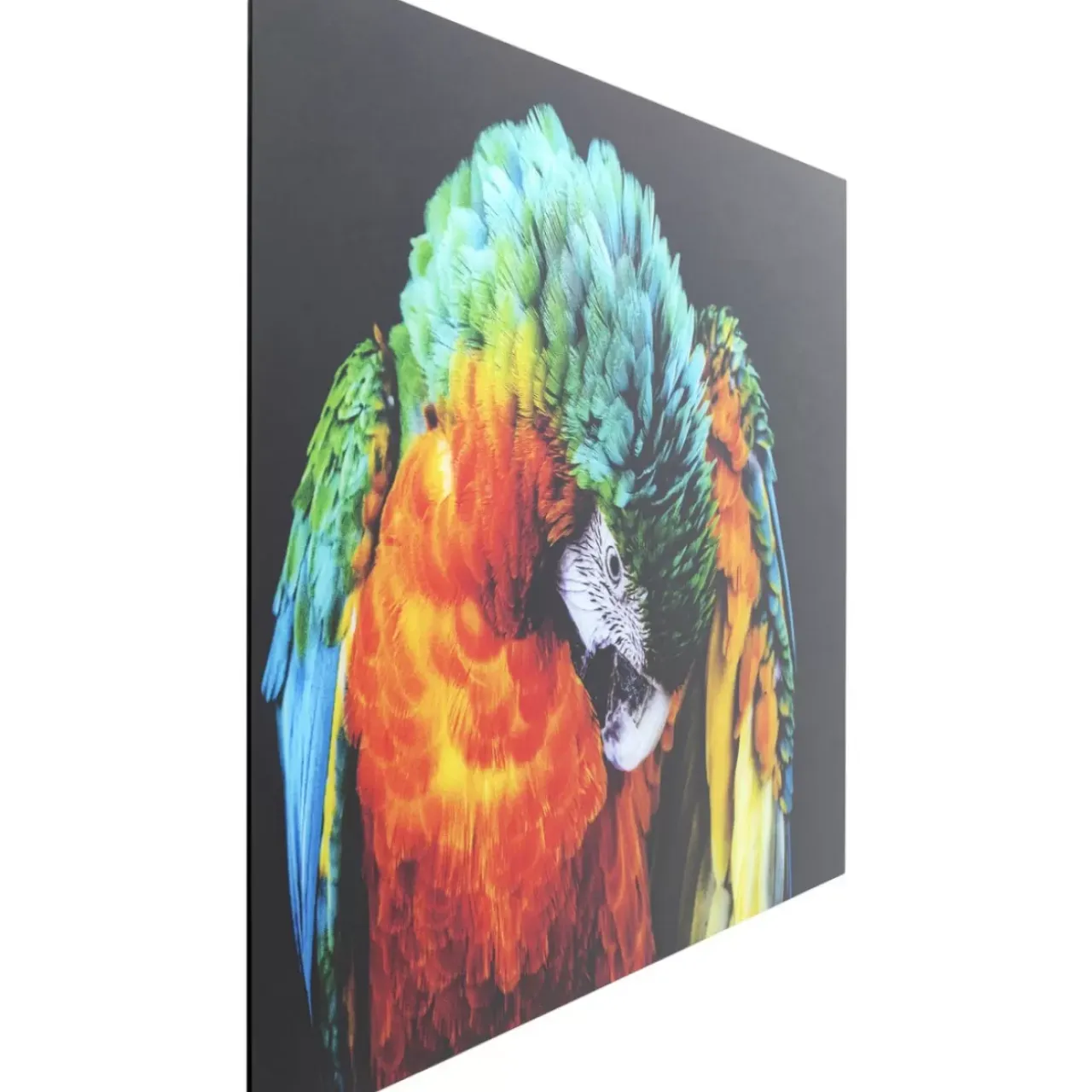 Bilder-KARE Design Glasbild Tropical Parrot 120X80Cm