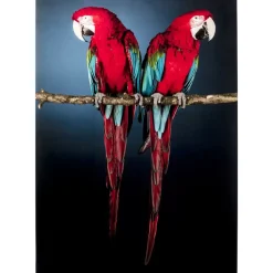 Bilder-KARE Design Glasbild Twin Parrot 80X120Cm