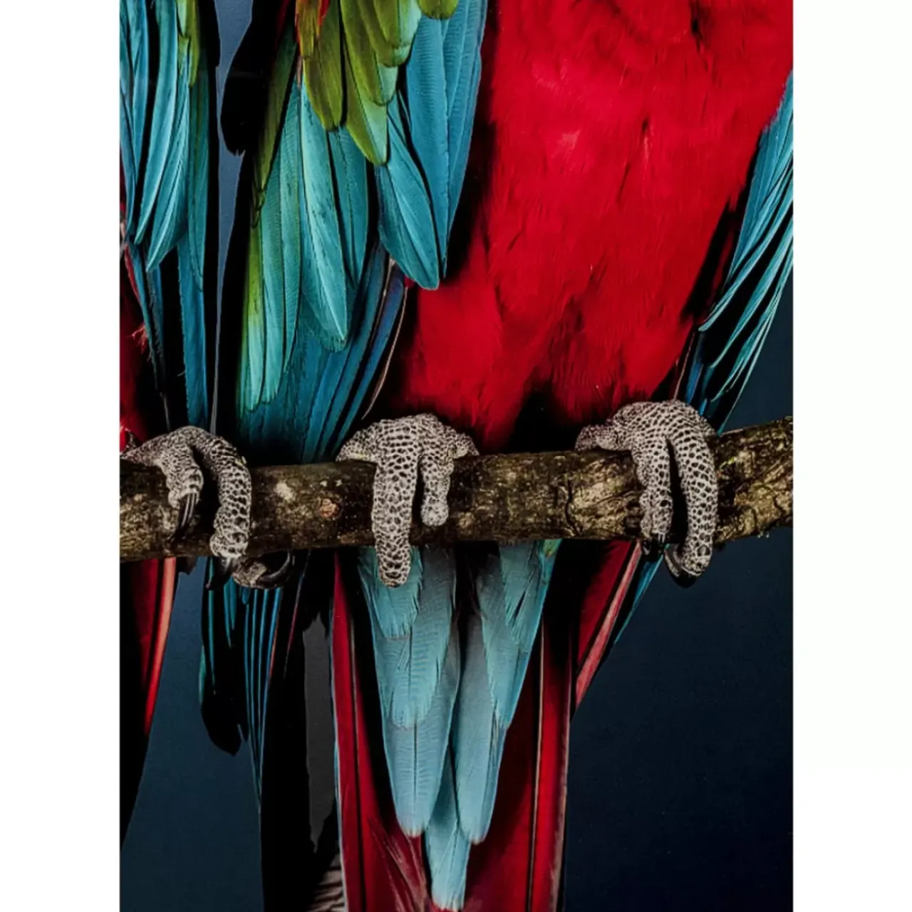 Bilder-KARE Design Glasbild Twin Parrot 80X120Cm