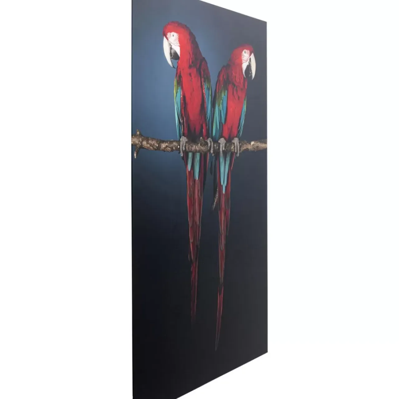 Bilder-KARE Design Glasbild Twin Parrot 80X120Cm