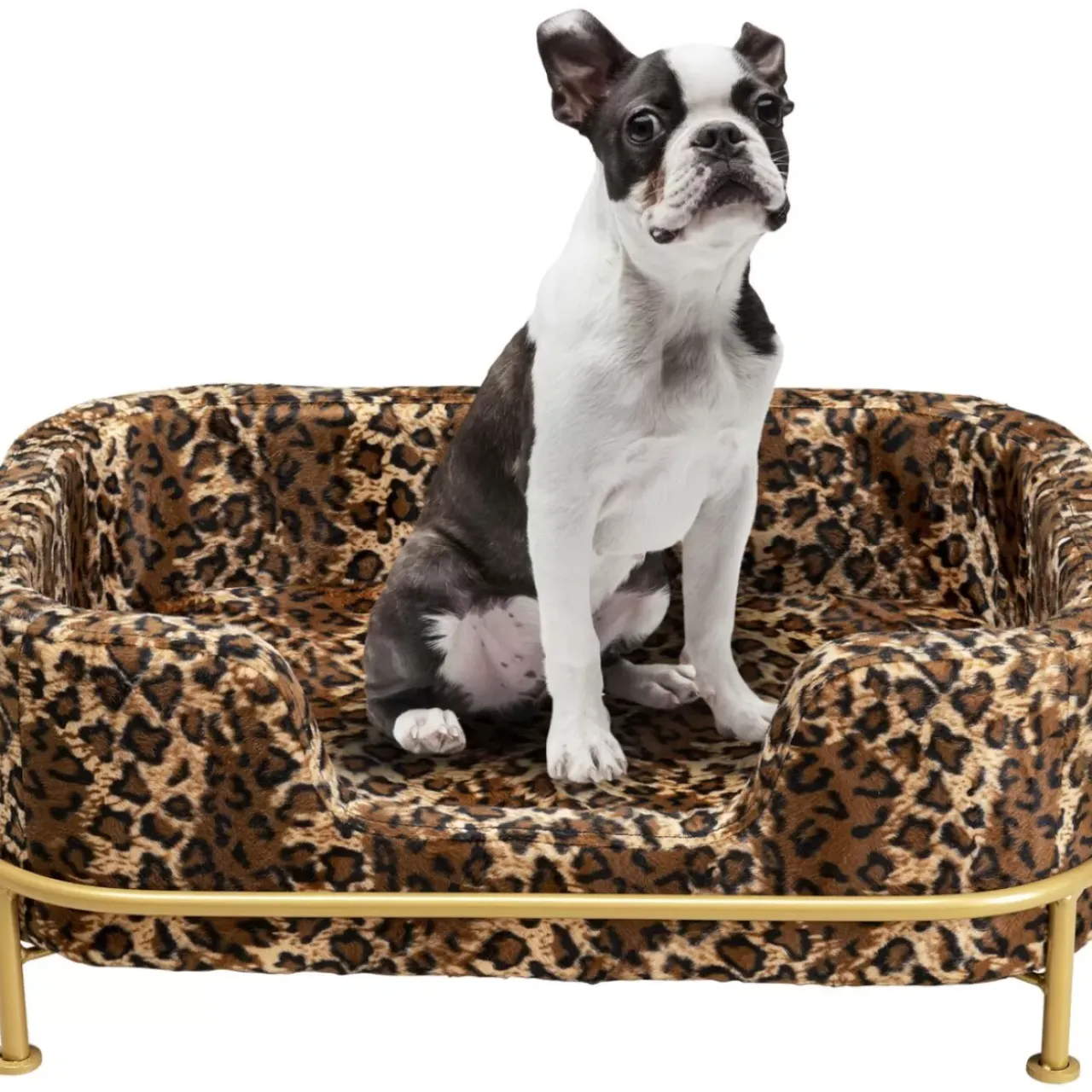 Kleinmöbel & Sonstiges-KARE Design Hund/Katzenbett Diva Leo