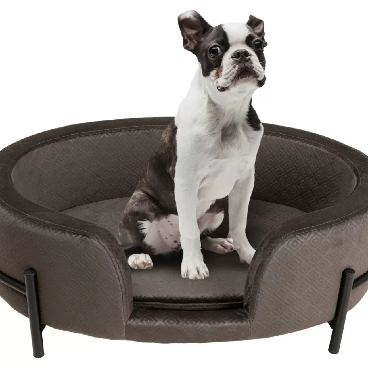Kleinmöbel & Sonstiges-KARE Design Hund/Katzenbett Dream Day Grau