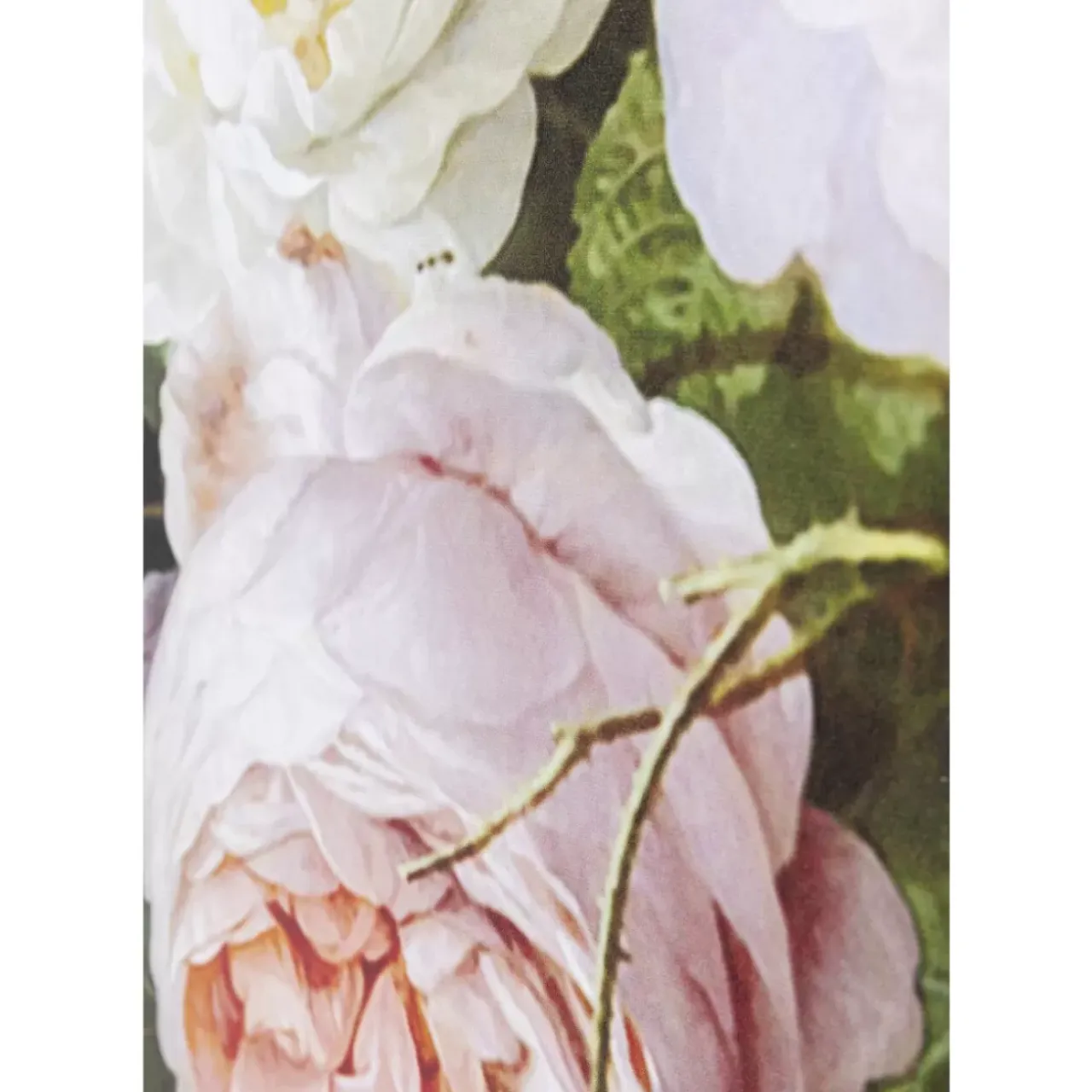 Paravents-KARE Design Paravent Flowery Shoulder Vs Bunch Flowers 120X180