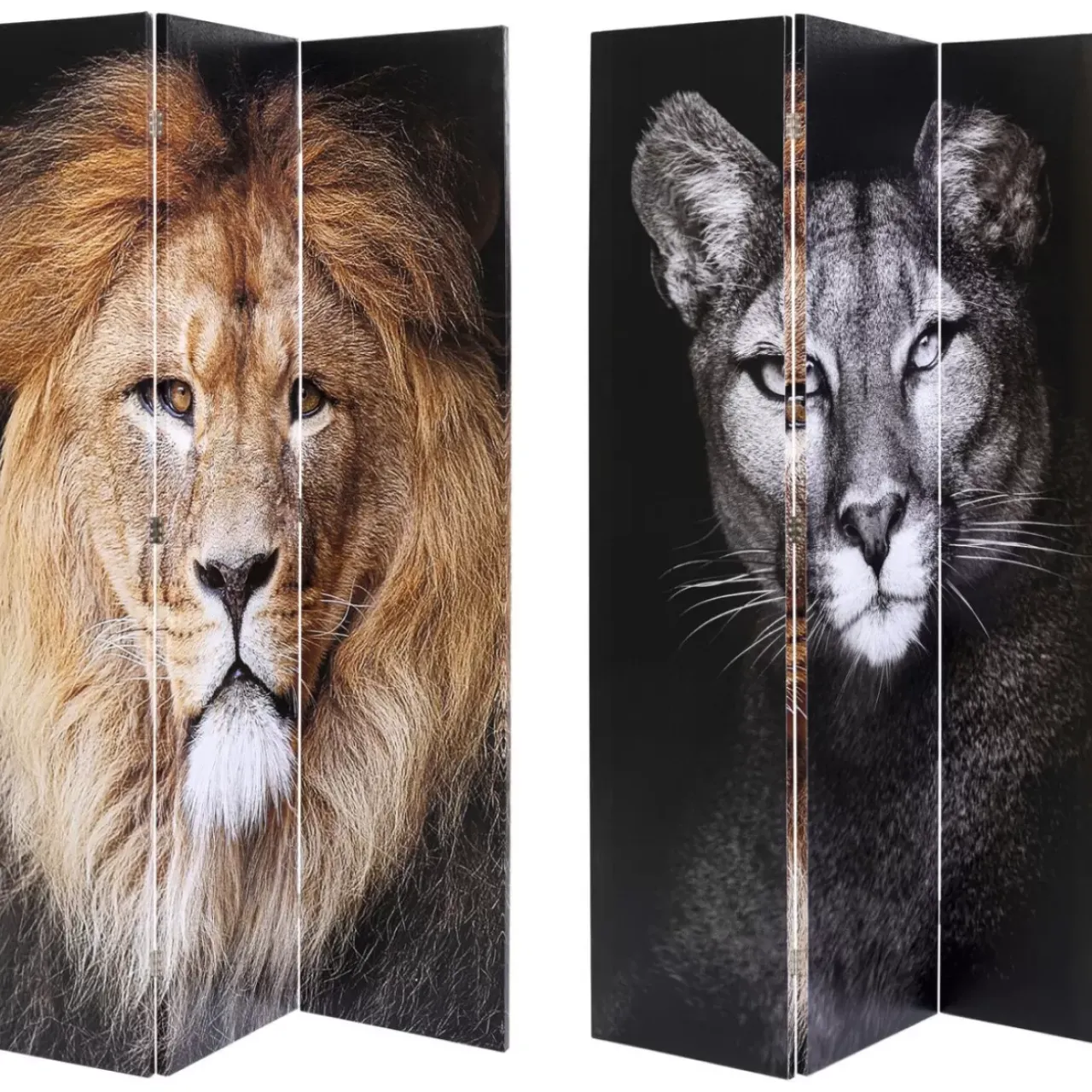 Paravents-KARE Design Paravent King Lion Vs Cat Girl 120X180Cm
